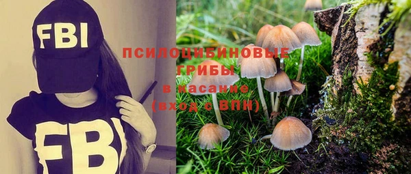 кристаллы Алексеевка