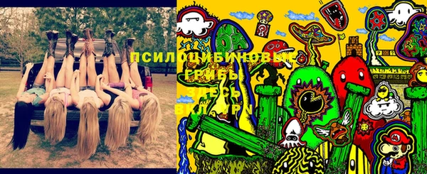 гидра Алексин
