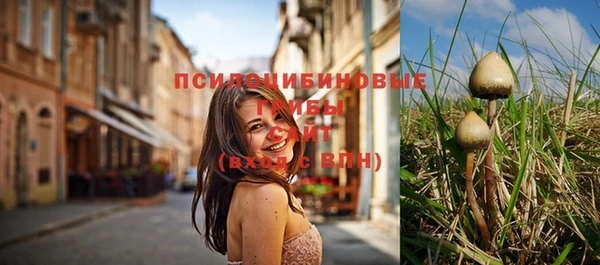 мет Рославль