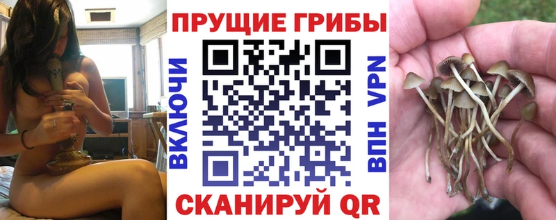 Галлюциногенные грибы MAGIC MUSHROOMS  Лениногорск 